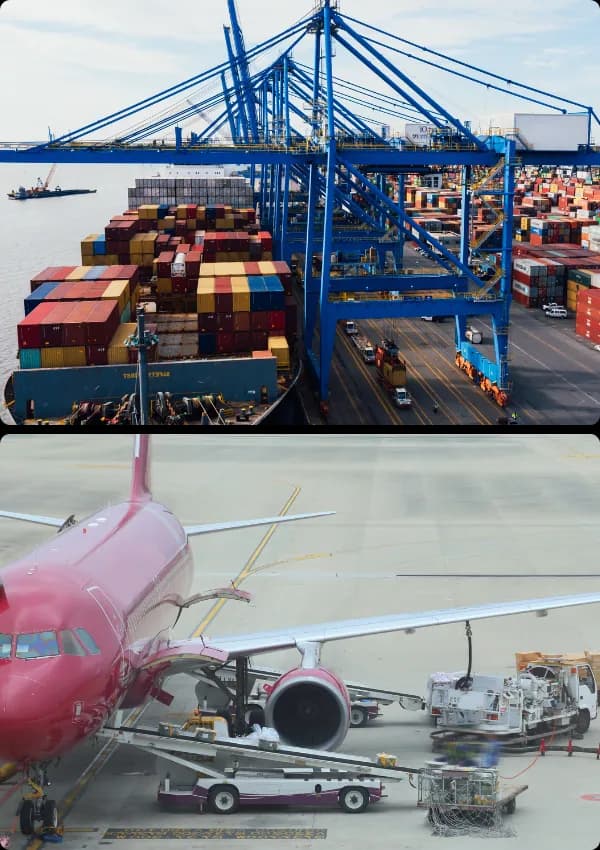 Container terminal cranes above an aircraft being loaded on the apron