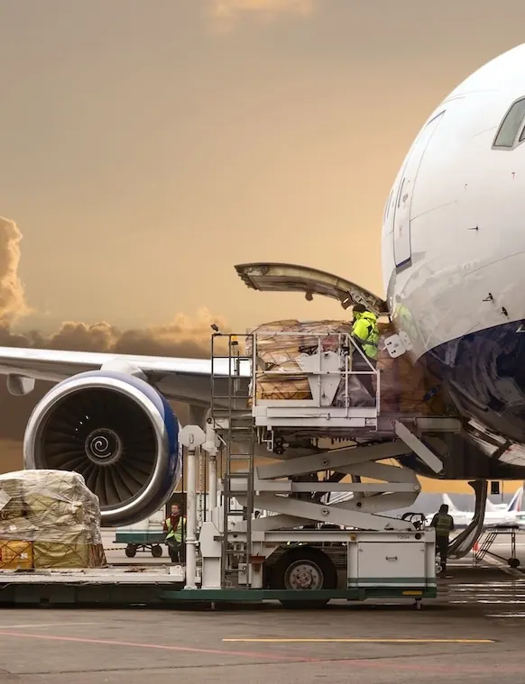 Pallets being loaded into the hold of a cargo aircraft